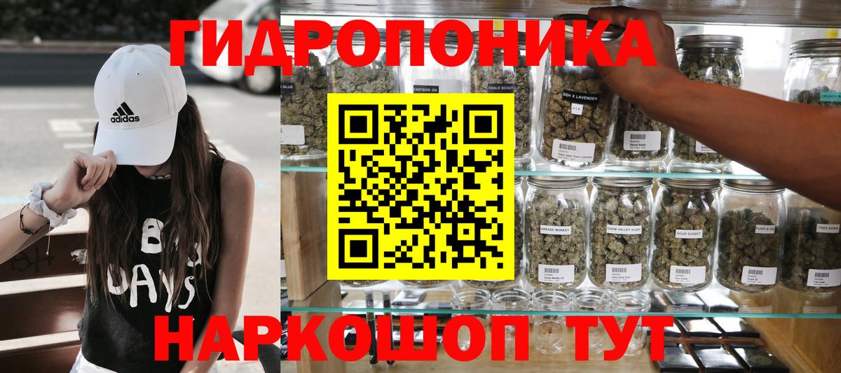 Боровичи  МАРИХУАНА конопля  Марихуана гибрид  Вход с VPN 